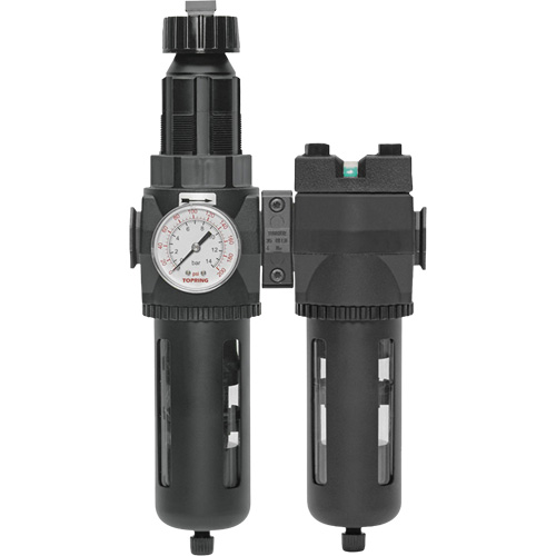 Filtre/d&eacute;tendeur & filtre coalescent Modulair 400 avec bol standard & drain manuel, 3/4" NPTF, 150 psi, Capacit&eacute; de 9,13 oz liq. Equipex