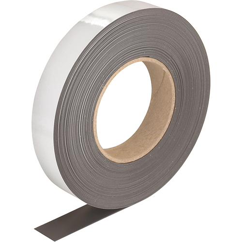 Write-On Magnetic Tags, Magnetic, 600" L x 1" W Equipex
