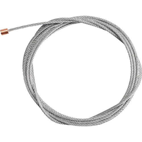 Galvanized Steel Cable, 10' Length Equipex