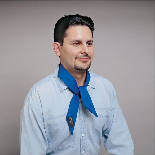 ALLEGRO INDUSTRIES Standard Cooling Wrap, Blue Equipex