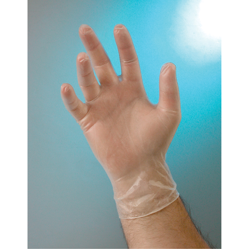 Examination Grade Gloves, Small, Vinyl, 4-mil, Powder-Free, Clear, Class 2 Equipex