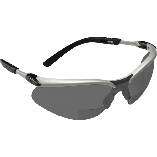BX Reader Safety Glasses, Anti-Fog, Grey/Smoke, 2.0 Diopter Equipex