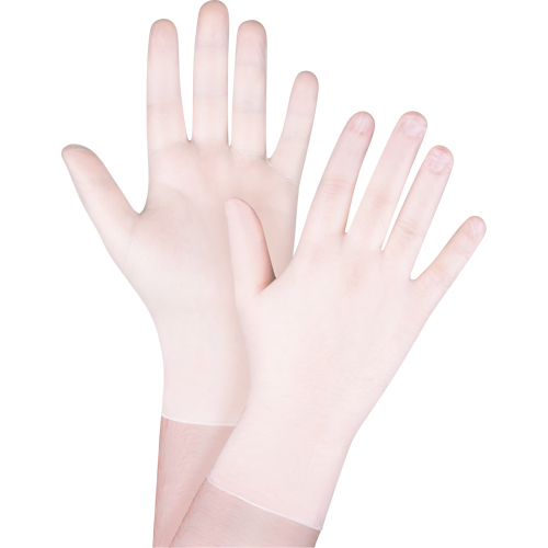 Disposable Gloves, X-Small, Vinyl, 4-mil, Powder-Free, White Equipex
