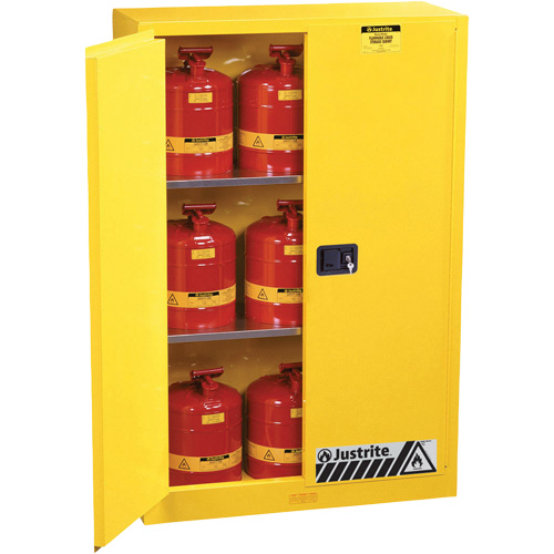 Armoires Sure-Grip EX pour produits inflammables, 45 gal., 2 Porte(s), 43" La x 65" h x 18" p Equipex