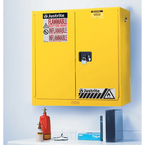 Wall Mount Sure-Grip&reg; Ex Safety Cabinets, 20 gal., 2 Door, 43" W x 44" H x 12" D Equipex