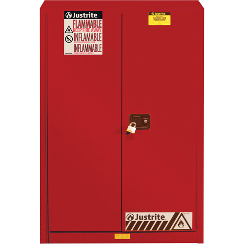 Armoire de s&eacute;curit&eacute; pour la peinture et les encres combustibles EX Sure-Grip, 60 gal., 5 tablettes Equipex