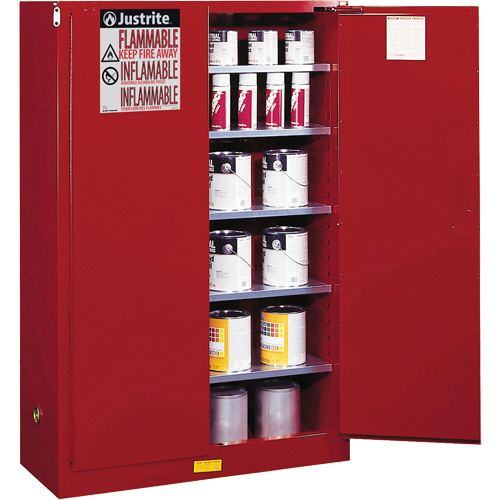 Armoire de s&eacute;curit&eacute; pour la peinture et les encres combustibles EX Sure-Grip, 60 gal., 5 tablettes Equipex