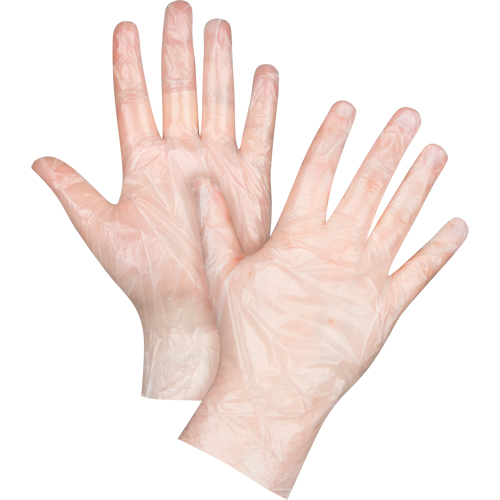 Economy Disposable Gloves, Small, Polyethylene, 1-mil, Powder-Free, Clear Equipex