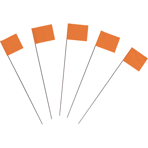 Marking Flags Equipex