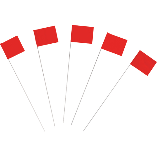 Marking Flags Equipex