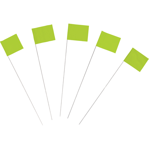 Marking Flags Equipex