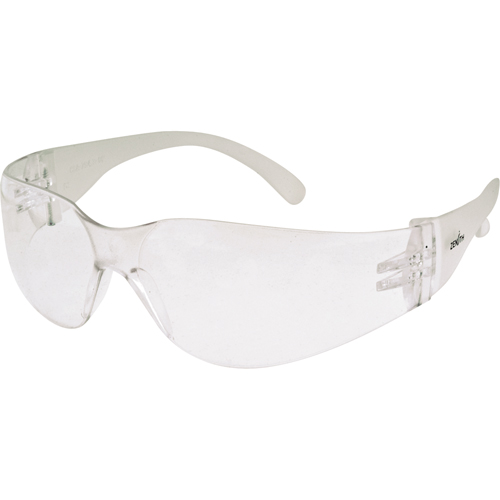 Z600 Series Safety Glasses, Clear Lens, Anti-Fog/Anti-Scratch, ANSI Z87+/Meets/Exceeds CSA Z94.3 Equipex