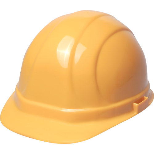 ERB Casque de s&eacute;curit&eacute; Omega II, R&eacute;pond aux normes CSA type 2, Suspension Rochet, Non ventil&eacute; Equipex