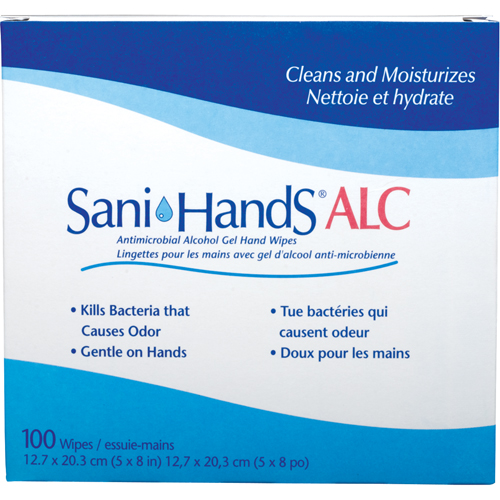 Sani-Hands&reg; ALC Antimicrobial Hand Wipes, Packet Equipex