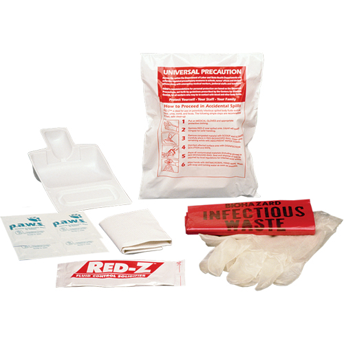 Fluid Spill Clean-Up Kit, Hazmat, Bag Equipex