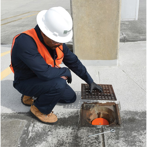 Drain Plug Equipex