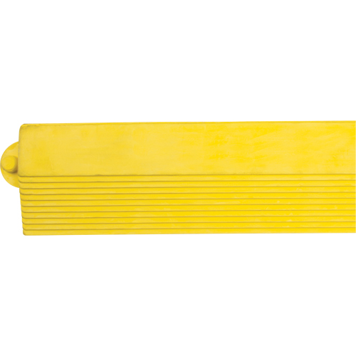 Rampe de bordure pour tapis Equipex