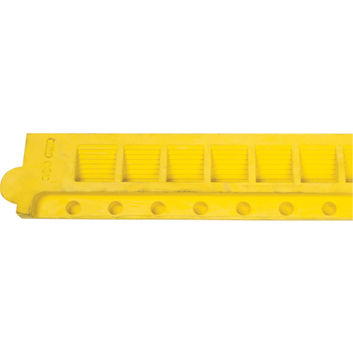 Rampe de bordure pour tapis Equipex