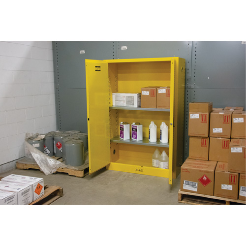 Flammable Storage Cabinet, 45 gal., 2 Door, 43" W x 65" H x 18" D Equipex