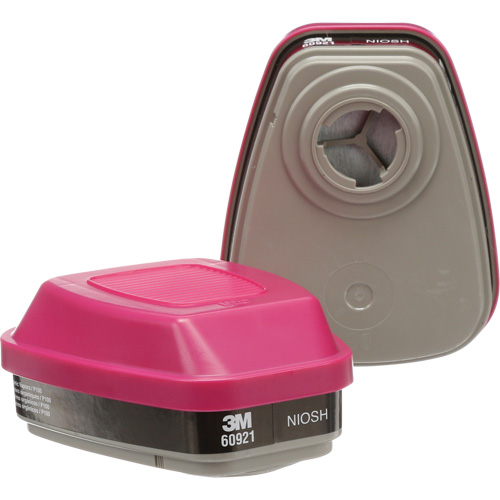 Cartouches pour respirateur s&eacute;rie 6000, Cartouche gaz/vapeur, Vapeurs organiques/P100 Equipex