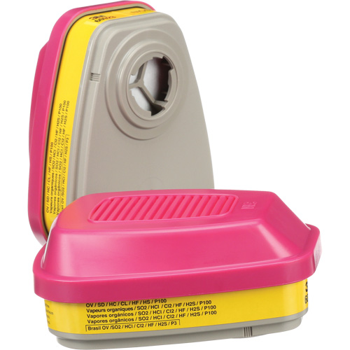 Cartouches pour respirateur s&eacute;rie 6000, Cartouche gaz/vapeur, Vapeurs organiques/Gaz acides/P100 Equipex