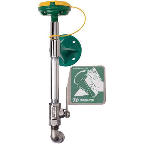 Axion&reg; Eye/Face Wash Station, Wall-Mount Installation Equipex