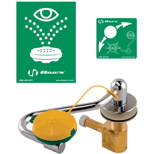 Eye/Face Wash Station, Sink Mount Installation Equipex
