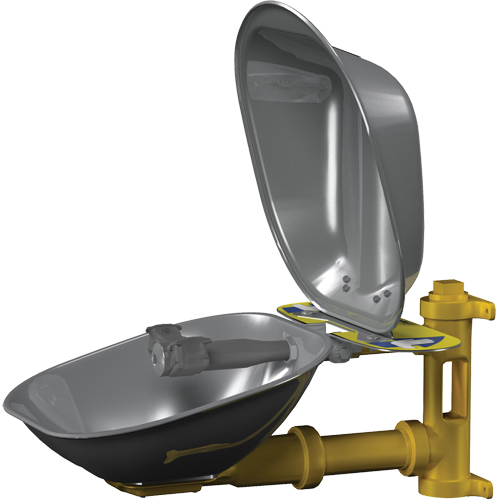 Poste de douche oculaire Halo, Installation Montage mural, Bol Acier inoxydable Equipex