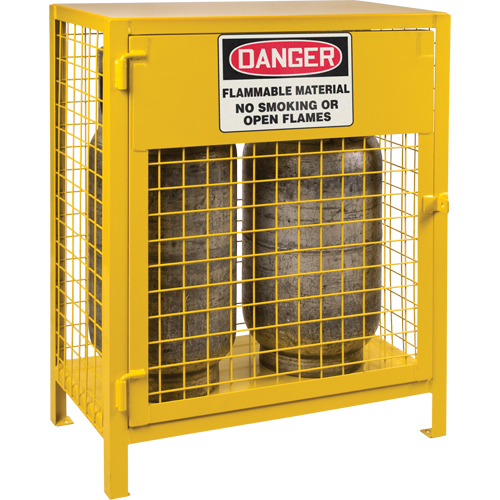Gas Cylinder Cabinets, 2 Cylinder Capacity, 30" W x 17" D x 37" H, Yellow Equipex
