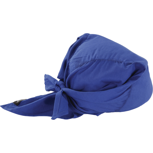 Chill-Its&reg; 6710CT Cooling Triangle Hats, Blue Equipex