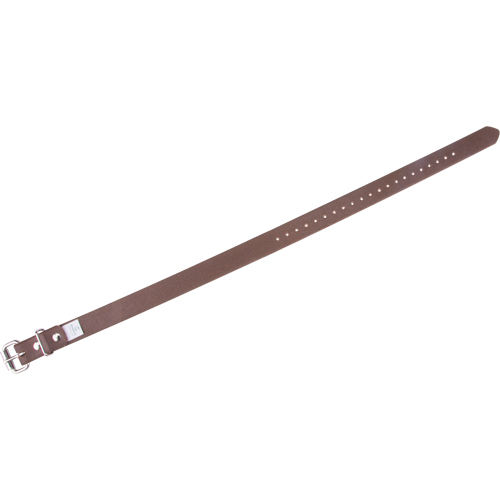 Leg Straps Equipex