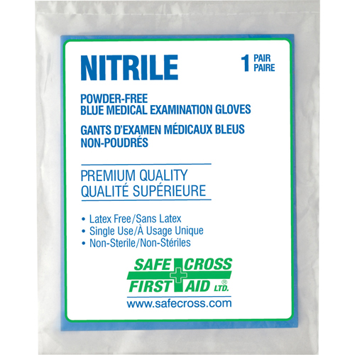 Medical Examination Gloves, Large, Nitrile, 5-mil, Powder-Free, Clear, Class 2 Equipex