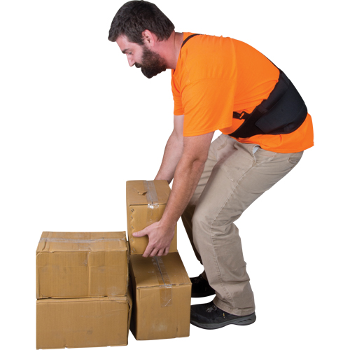 Support lombaire, &eacute;lastique, Petit Equipex