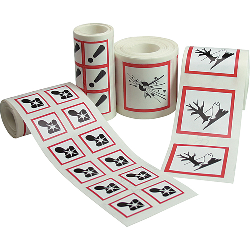 GHS Pictogram Labels, Paper, Roll, 4" L x 4" W Equipex