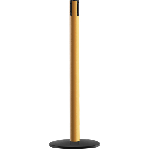 Syst&egrave;me Advance TensaBarrier - Poteau r&eacute;cepteur, Hauteur de 36", Jaune Equipex