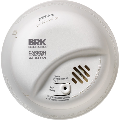 Alarme pour monoxyde de carbone Equipex