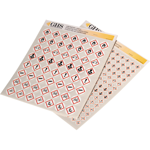 GHS Hazard Pictogram Label Variety Packs, Vinyl, Sheet, 1" L x 1" W Equipex
