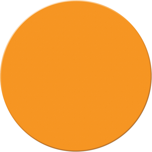 Marqueurs all&eacute;g&eacute;e/5S Armor Stripe, Cercle, 6" lo x 6" la, Orange, Plastique Equipex