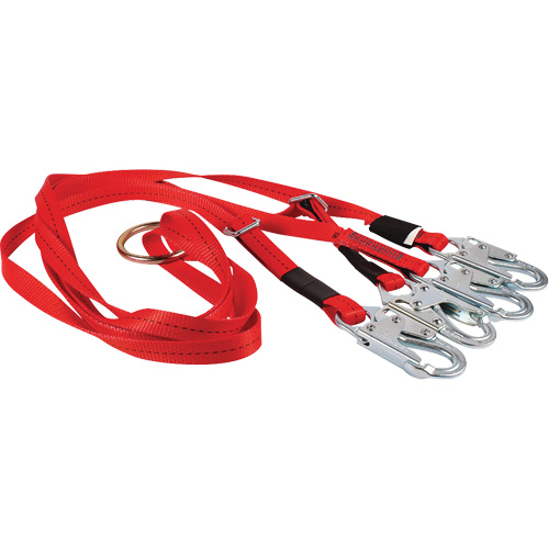 Dynamic Bridle for Wire Basket Stretcher Equipex