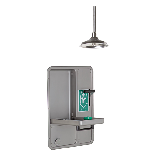 Eye/Face Wash and Shower, Ceiling-Mount Equipex