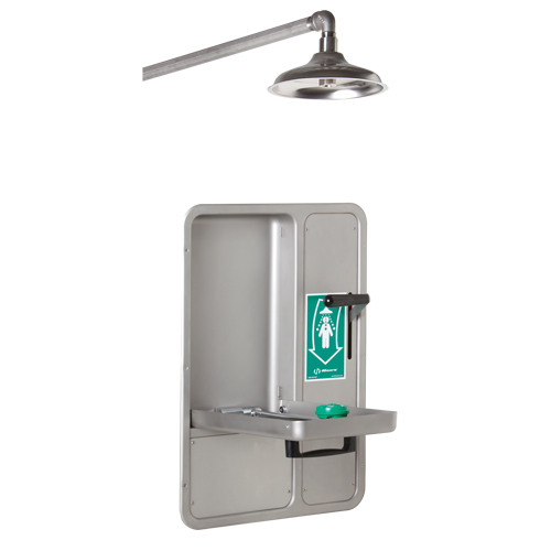 Eye/Face Wash and Shower, Ceiling-Mount Equipex