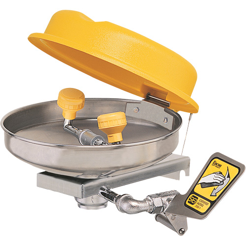 Eyewash Station, Wall-Mount Installation, Stainless Steel Bowl Equipex