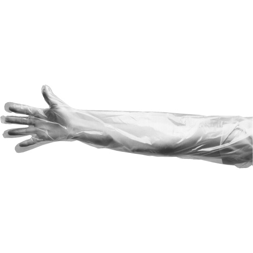 Disposable Gloves, Large, Polyethylene, 9-mil, Powdered, Clear Equipex
