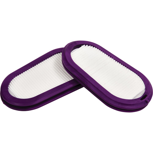 Filtres de remplacement, Filtre contre les particules, Filtre P100 Equipex