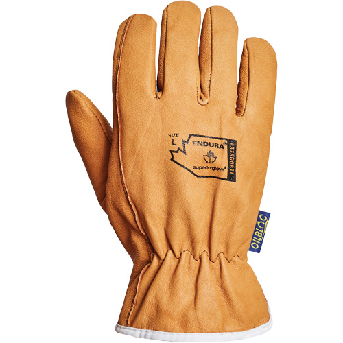 Gants de conducteur Endura, Petit, Paume en Cuir fleur de ch&egrave;vre, Thinsulate Equipex