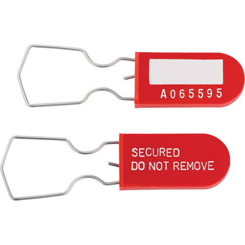 Dynamic Safety Equipment Inspection Tags, Plastic, 1" W x 2-1/4" H, English Equipex