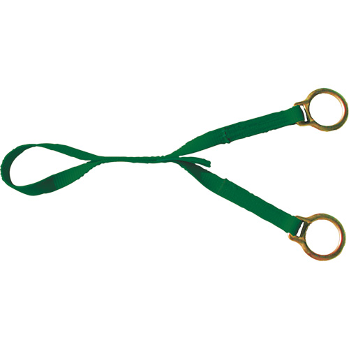 Extension avec anneau en D double, Anneau en D, Usage Temporaire Equipex