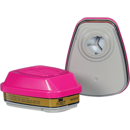 Cartouche, Combinaison cartouche et filtre contre les particules pour gaz/vapeurs, Gaz multiples/Vapeurs/P100 Equipex