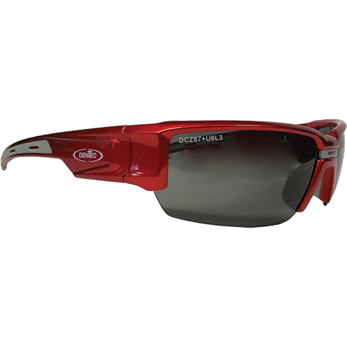 Lunettes de s&eacute;curit&eacute; Hartley, Lentille Gris, Polaris&eacute;, R&eacute;pond ou surpasse la norme CSA Z94.3 Equipex