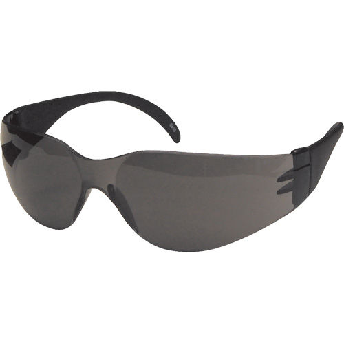 Lunettes de s&eacute;curit&eacute; CeeTec, Lentille Gris, Antibu&eacute;e/Anti-&eacute;gratignures, R&eacute;pond ou surpasse la norme CSA Z94.3 Equipex